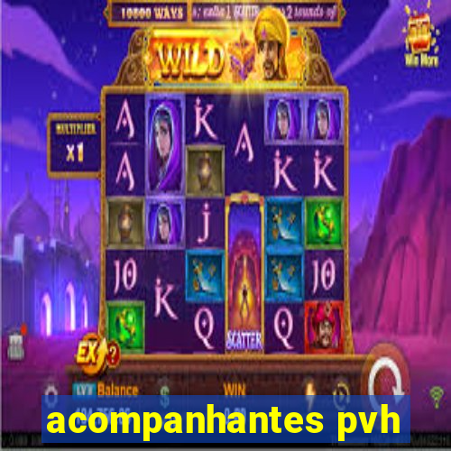 acompanhantes pvh